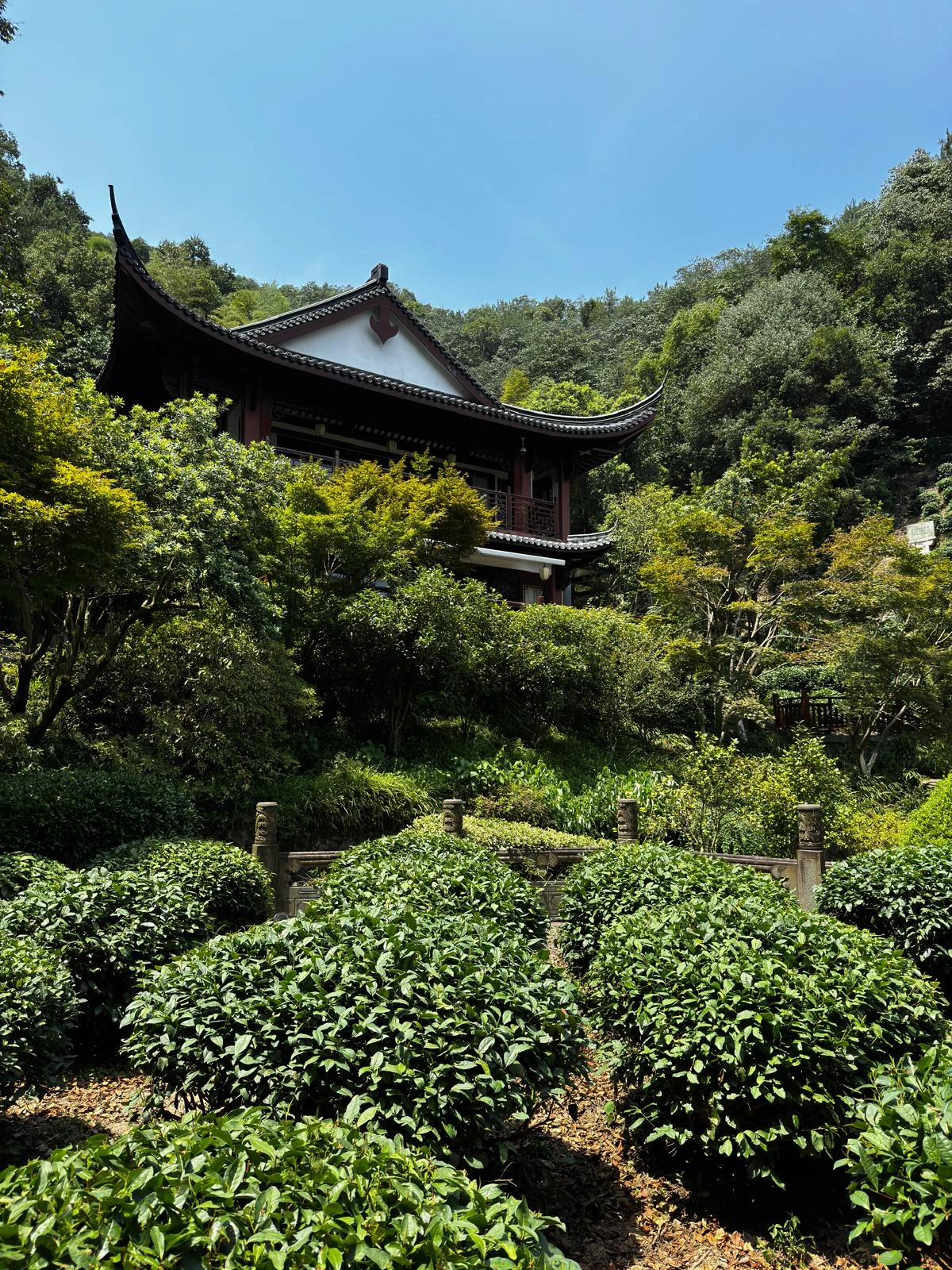 תמונה של האנגג'ואו